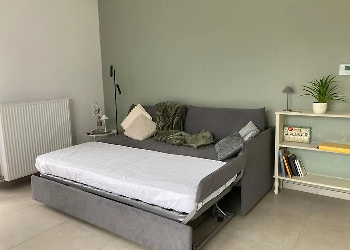 Work-friendly Near Cern-gva-un & Nature Daire Ornex